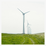 we have a carbon neutral webshop!